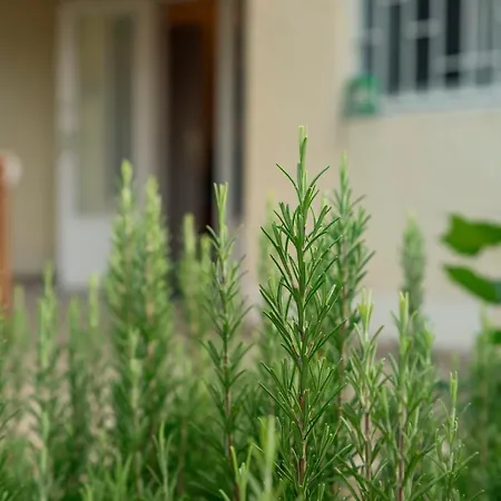 Sunny Clara Oenallo Nyaralo Ferienhaus *